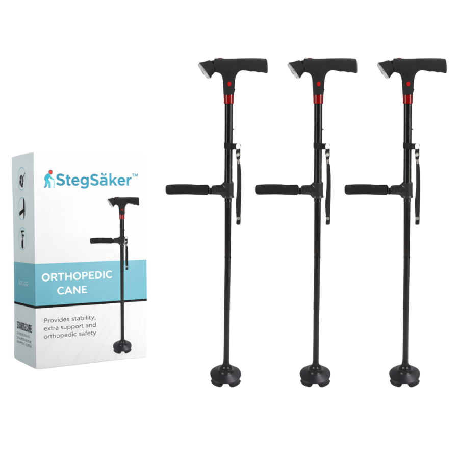 StegSäker™