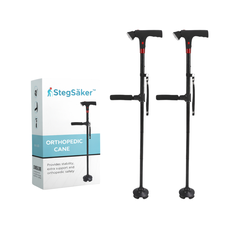 StegSäker™