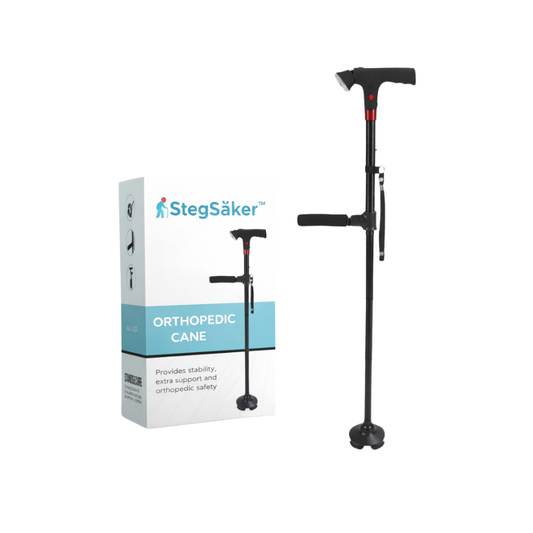 StegSäker™